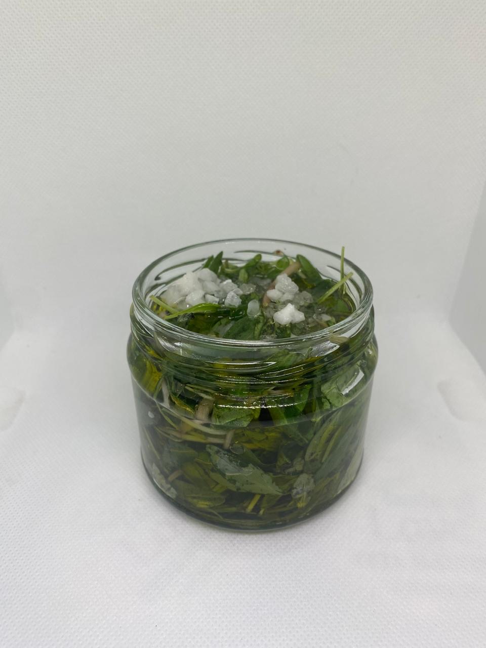 Makdous Zaatar Akhdar